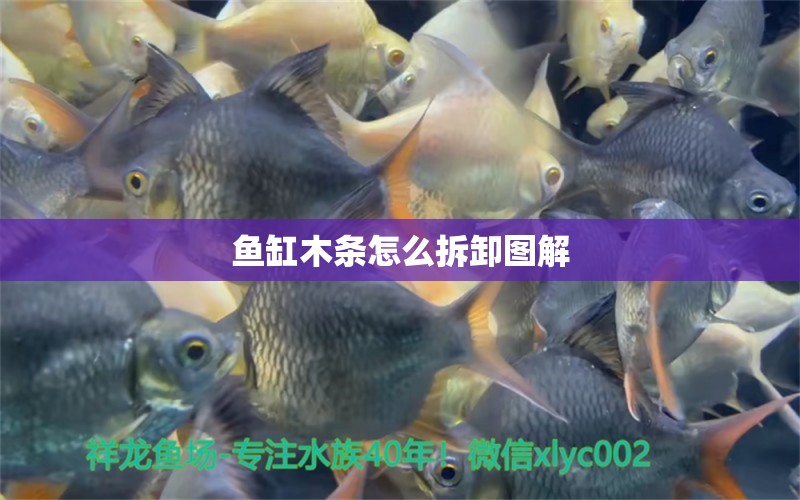 魚缸木條怎么拆卸圖解