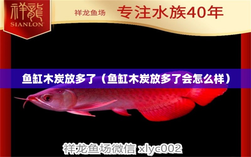 魚缸木炭放多了（魚缸木炭放多了會怎么樣） 其他品牌魚缸