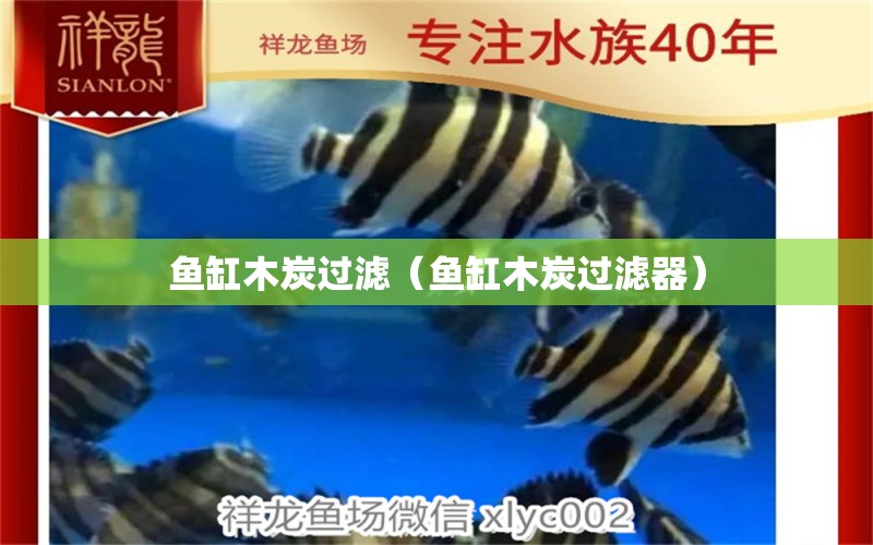 魚缸木炭過濾（魚缸木炭過濾器）