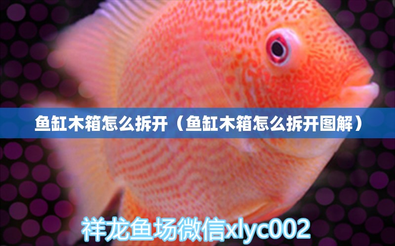 魚缸木箱怎么拆開（魚缸木箱怎么拆開圖解）