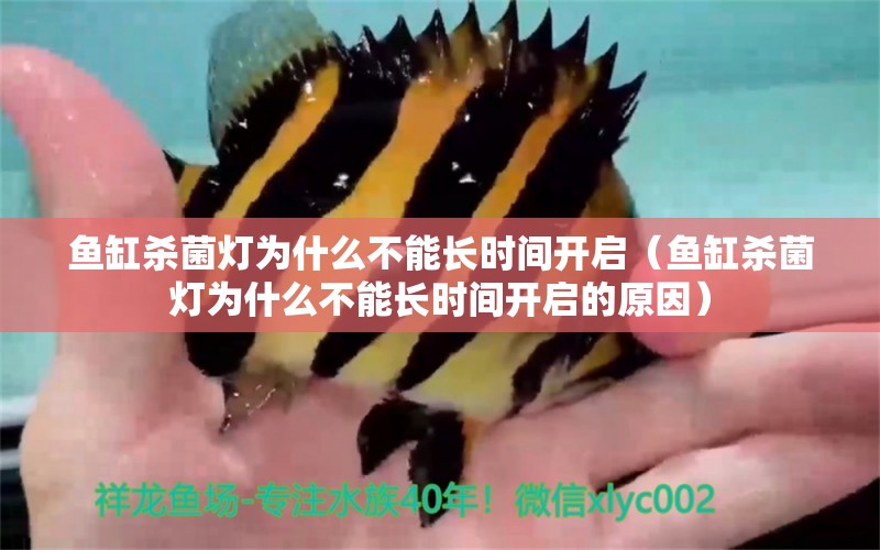 魚缸殺菌燈為什么不能長時間開啟（魚缸殺菌燈為什么不能長時間開啟的原因） 愛龍仕