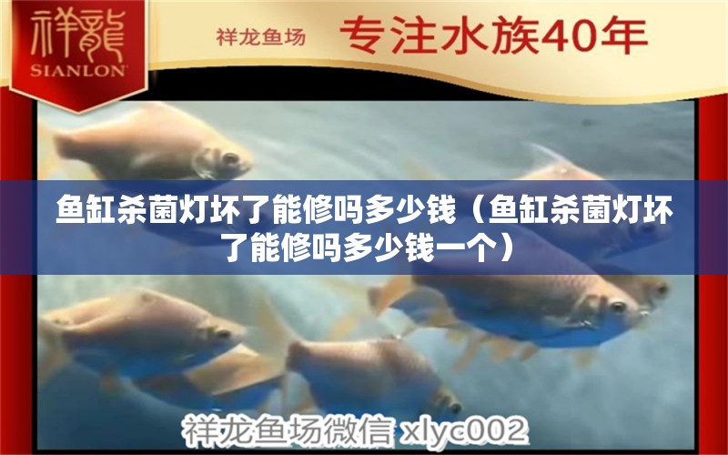 魚缸殺菌燈壞了能修嗎多少錢（魚缸殺菌燈壞了能修嗎多少錢一個）