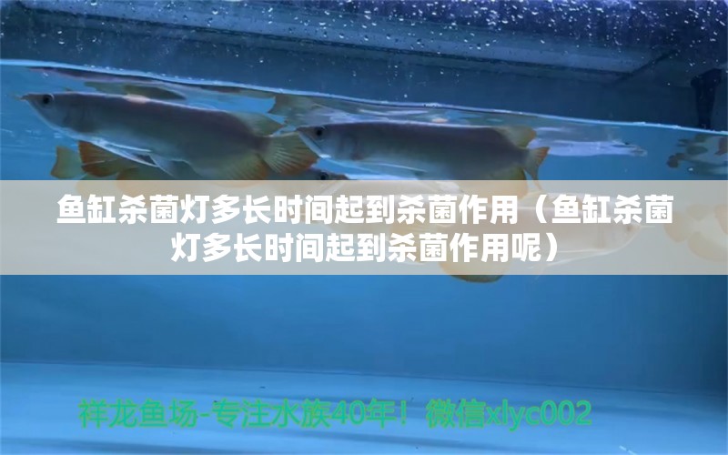 魚缸殺菌燈多長時間起到殺菌作用（魚缸殺菌燈多長時間起到殺菌作用呢）