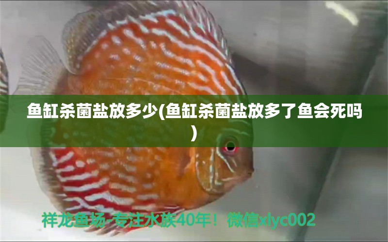 魚缸殺菌鹽放多少(魚缸殺菌鹽放多了魚會(huì)死嗎)