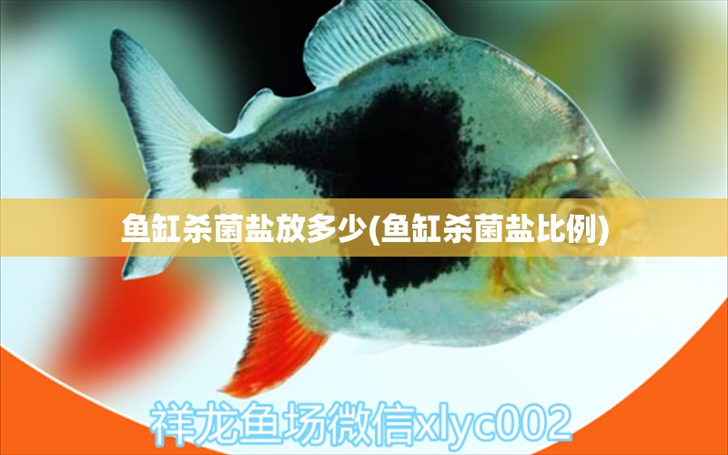 魚缸殺菌鹽放多少(魚缸殺菌鹽比例)