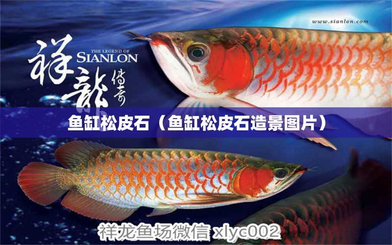 魚(yú)缸松皮石（魚(yú)缸松皮石造景圖片） 其他品牌魚(yú)缸