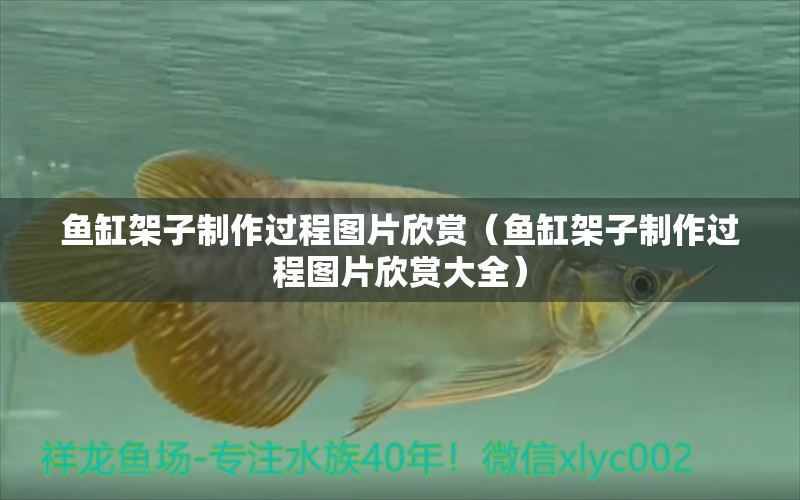 魚缸架子制作過程圖片欣賞（魚缸架子制作過程圖片欣賞大全） 祥龍水族醫(yī)院