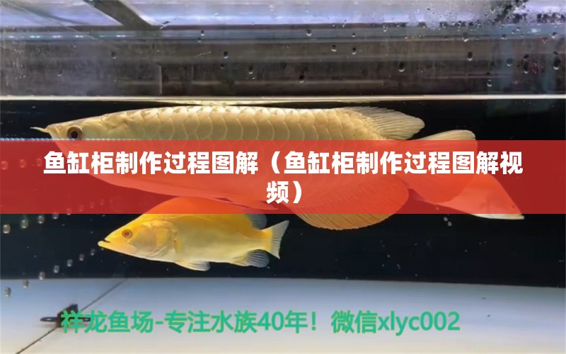 魚缸柜制作過程圖解（魚缸柜制作過程圖解視頻） 祥龍水族醫(yī)院