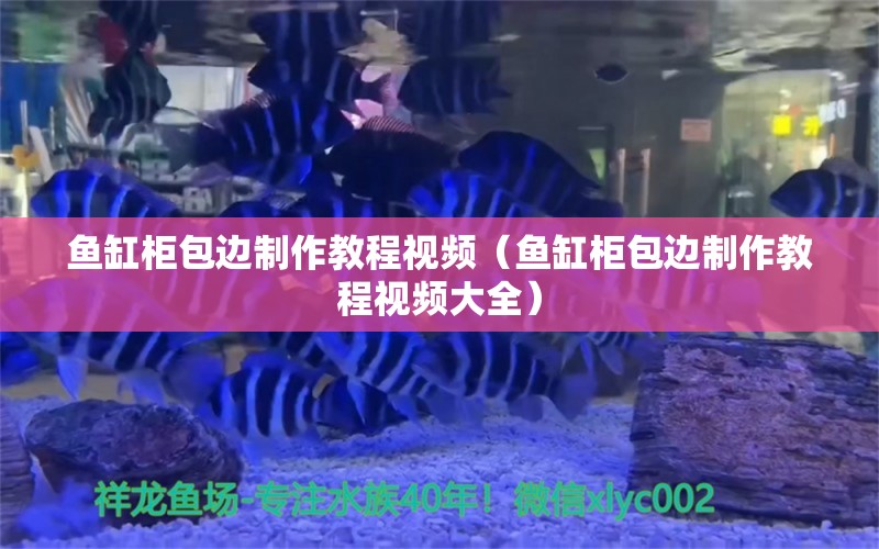 魚缸柜包邊制作教程視頻（魚缸柜包邊制作教程視頻大全） 祥龍水族醫(yī)院