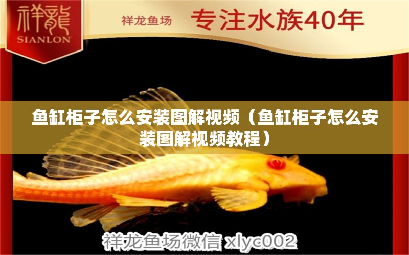 魚缸柜子怎么安裝圖解視頻（魚缸柜子怎么安裝圖解視頻教程）