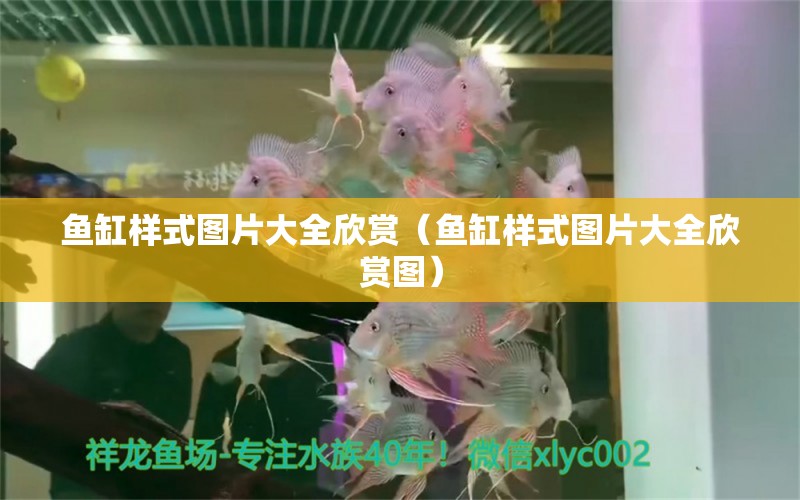 魚缸樣式圖片大全欣賞（魚缸樣式圖片大全欣賞圖） 祥龍水族醫(yī)院