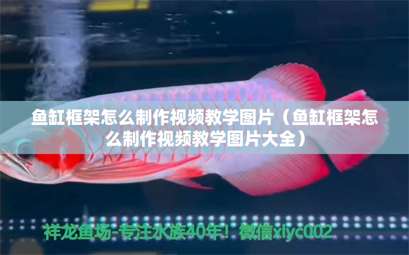 魚缸框架怎么制作視頻教學(xué)圖片（魚缸框架怎么制作視頻教學(xué)圖片大全）