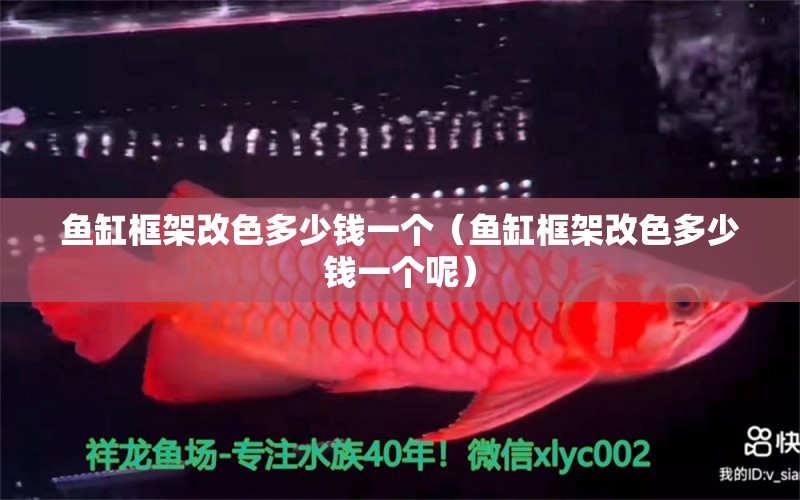 魚缸框架改色多少錢一個（魚缸框架改色多少錢一個呢）