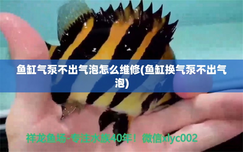 魚缸氣泵不出氣泡怎么維修(魚缸換氣泵不出氣泡) 觀賞魚飼料