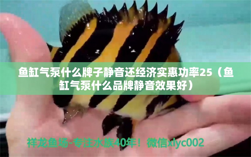 魚缸氣泵什么牌子靜音還經(jīng)濟(jì)實(shí)惠功率25（魚缸氣泵什么品牌靜音效果好）