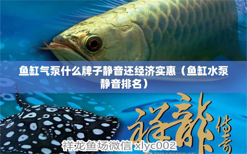 魚缸氣泵什么牌子靜音還經(jīng)濟(jì)實(shí)惠（魚缸水泵靜音排名）