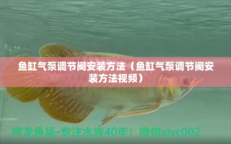 魚缸氣泵調(diào)節(jié)閥安裝方法（魚缸氣泵調(diào)節(jié)閥安裝方法視頻） 祥龍水族醫(yī)院