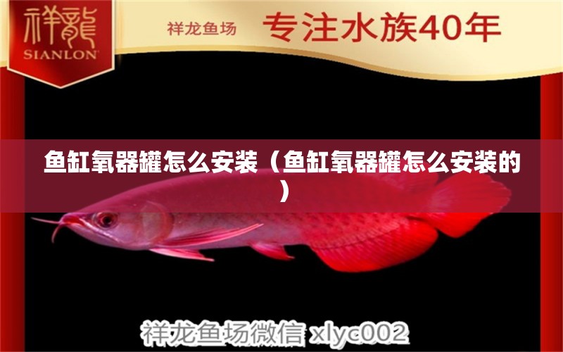 魚缸氧器罐怎么安裝（魚缸氧器罐怎么安裝的）