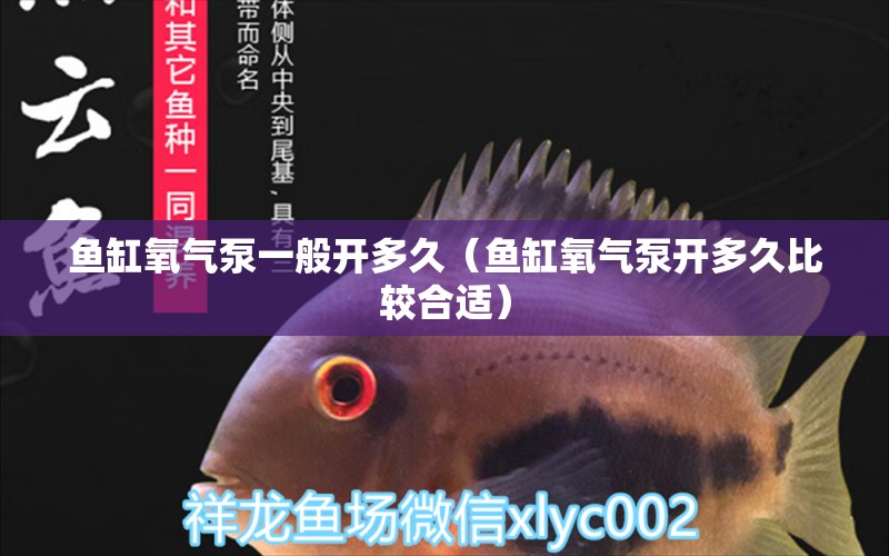 魚缸氧氣泵一般開多久（魚缸氧氣泵開多久比較合適） 二氧化碳設備