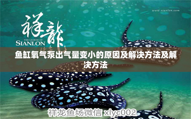 魚(yú)缸氧氣泵出氣量變小的原因及解決方法及解決方法 元寶鳳凰魚(yú)專用魚(yú)糧