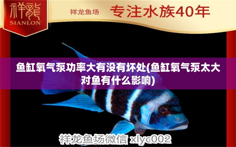 魚缸氧氣泵功率大有沒有壞處(魚缸氧氣泵太大對魚有什么影響) 元寶鯽