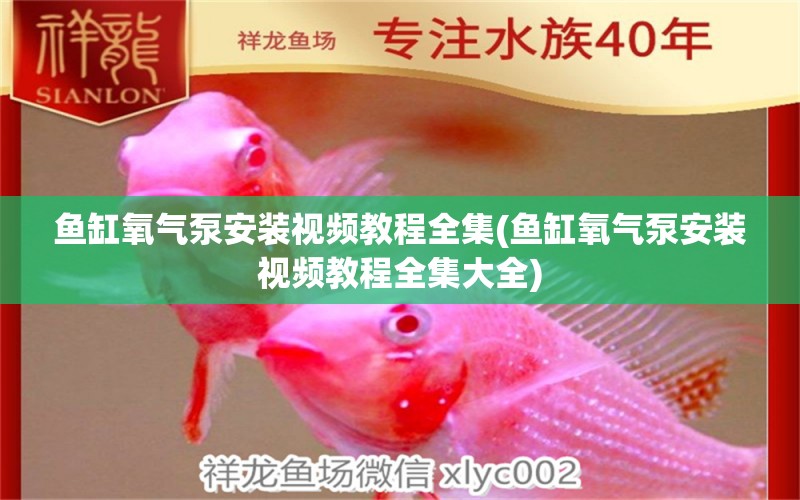 魚缸氧氣泵安裝視頻教程全集(魚缸氧氣泵安裝視頻教程全集大全) 成吉思汗鯊（球鯊）魚