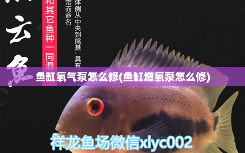 魚缸氧氣泵怎么修(魚缸增氧泵怎么修)