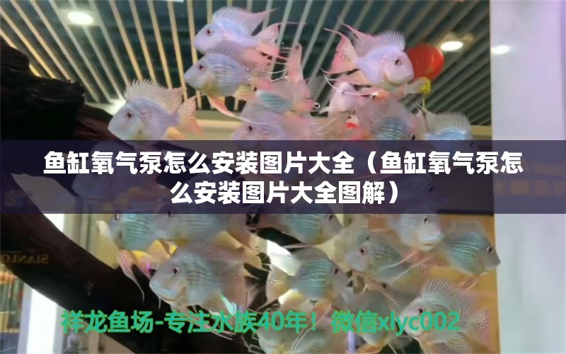 魚缸氧氣泵怎么安裝圖片大全（魚缸氧氣泵怎么安裝圖片大全圖解） 充氧泵 第1張