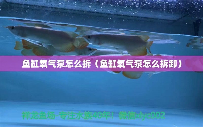 魚(yú)缸氧氣泵怎么拆（魚(yú)缸氧氣泵怎么拆卸） 觀賞魚(yú)市場(chǎng)（混養(yǎng)魚(yú)）