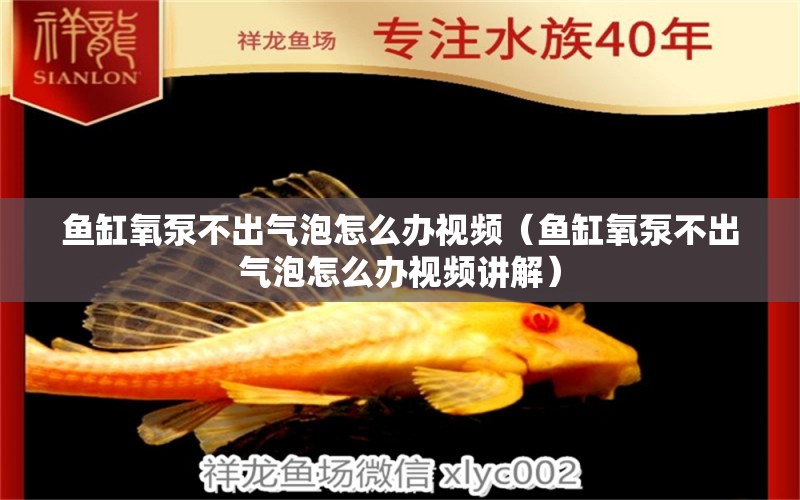 魚缸氧泵不出氣泡怎么辦視頻（魚缸氧泵不出氣泡怎么辦視頻講解） 觀賞魚市場（混養(yǎng)魚）