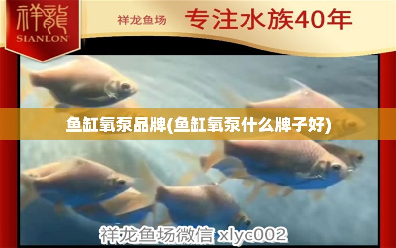 魚缸氧泵品牌(魚缸氧泵什么牌子好) 斑馬鴨嘴魚