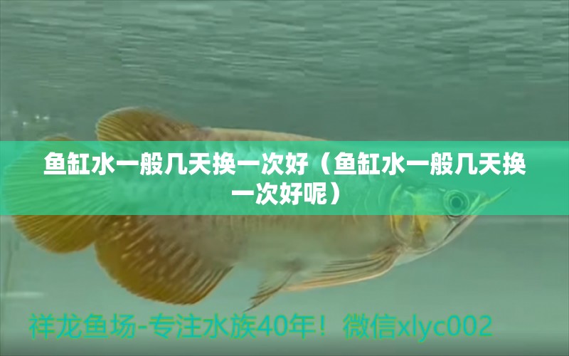 魚缸水一般幾天換一次好（魚缸水一般幾天換一次好呢）