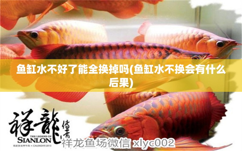 魚缸水不好了能全換掉嗎(魚缸水不換會(huì)有什么后果) 祥龍藍(lán)珀金龍魚 第1張