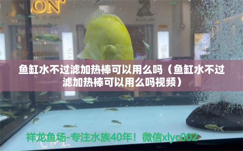 魚缸水不過濾加熱棒可以用么嗎（魚缸水不過濾加熱棒可以用么嗎視頻） 黑白雙星魚