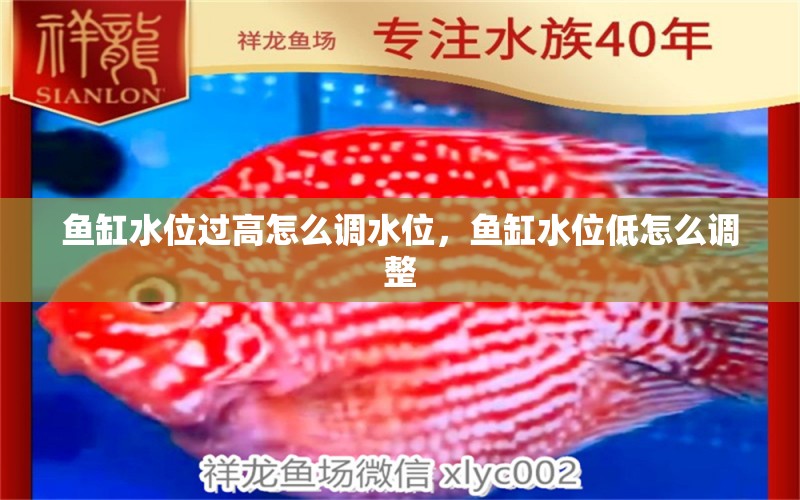 魚缸水位過高怎么調(diào)水位，魚缸水位低怎么調(diào)整