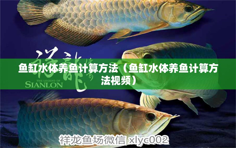 魚缸水體養(yǎng)魚計(jì)算方法（魚缸水體養(yǎng)魚計(jì)算方法視頻）