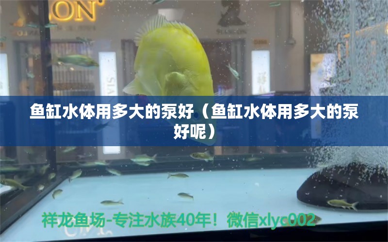 魚缸水體用多大的泵好（魚缸水體用多大的泵好呢）