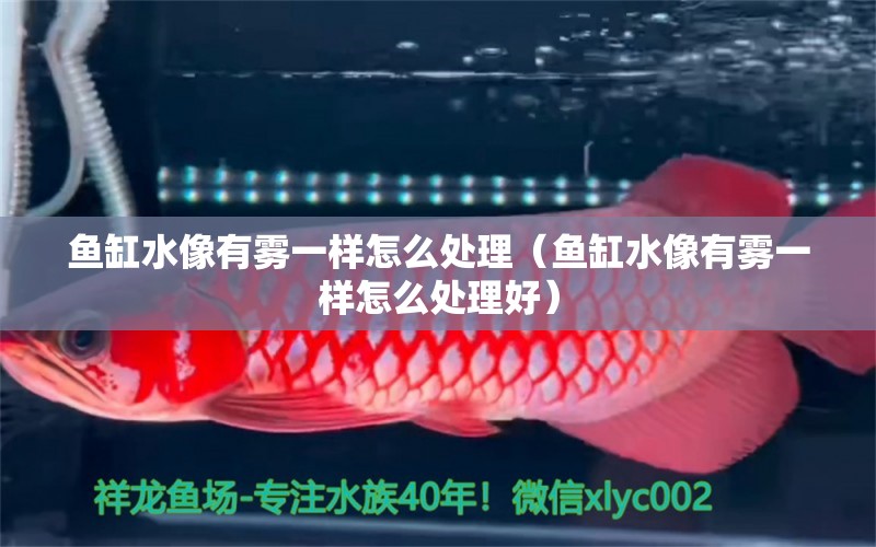 魚缸水像有霧一樣怎么處理（魚缸水像有霧一樣怎么處理好）