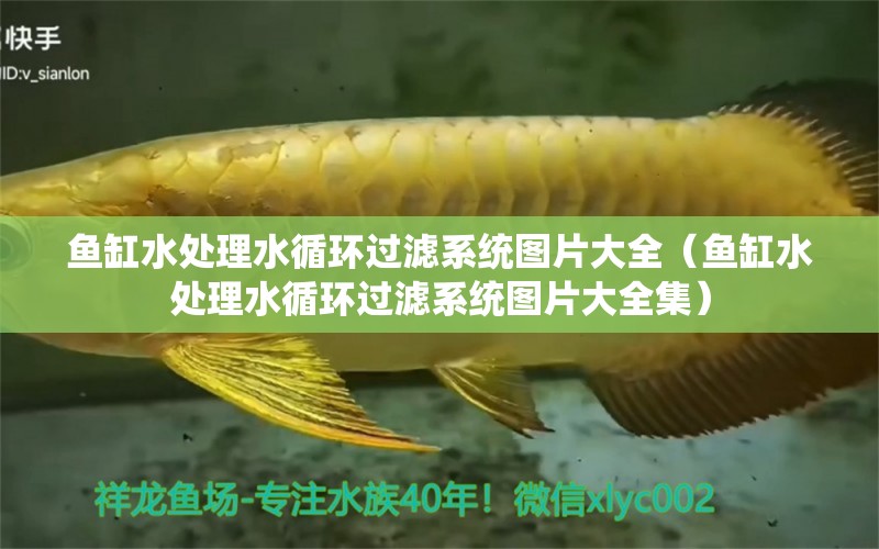 魚缸水處理水循環(huán)過濾系統(tǒng)圖片大全（魚缸水處理水循環(huán)過濾系統(tǒng)圖片大全集） 其他品牌魚缸