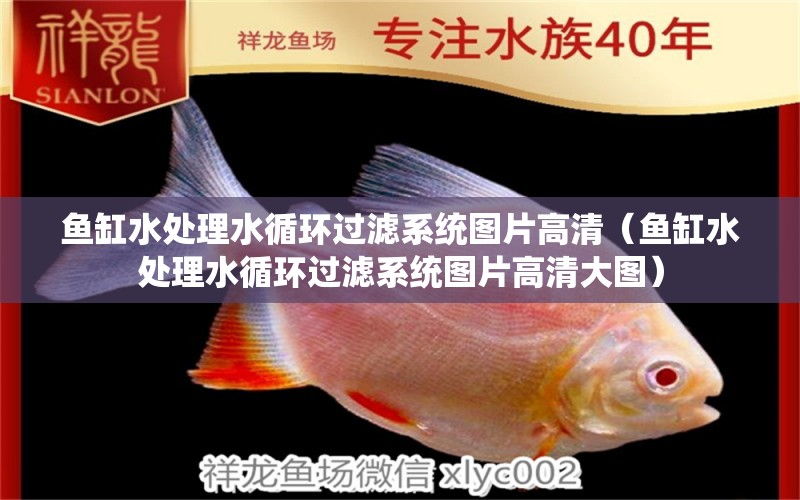 魚缸水處理水循環(huán)過濾系統(tǒng)圖片高清（魚缸水處理水循環(huán)過濾系統(tǒng)圖片高清大圖） 其他品牌魚缸