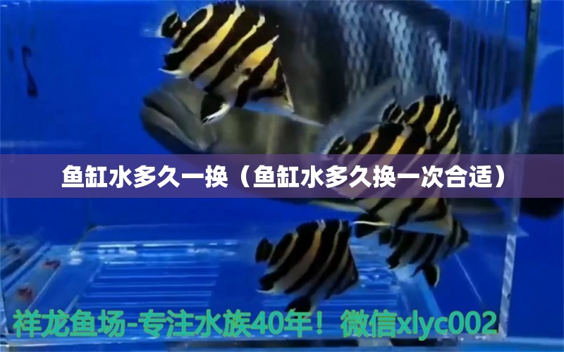 魚缸水多久一換（魚缸水多久換一次合適）