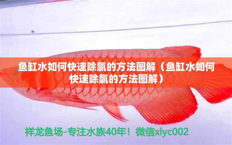 魚缸水如何快速除氯的方法圖解（魚缸水如何快速除氯的方法圖解）