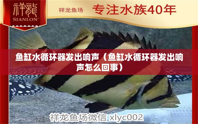 魚缸水循環(huán)器發(fā)出響聲（魚缸水循環(huán)器發(fā)出響聲怎么回事）