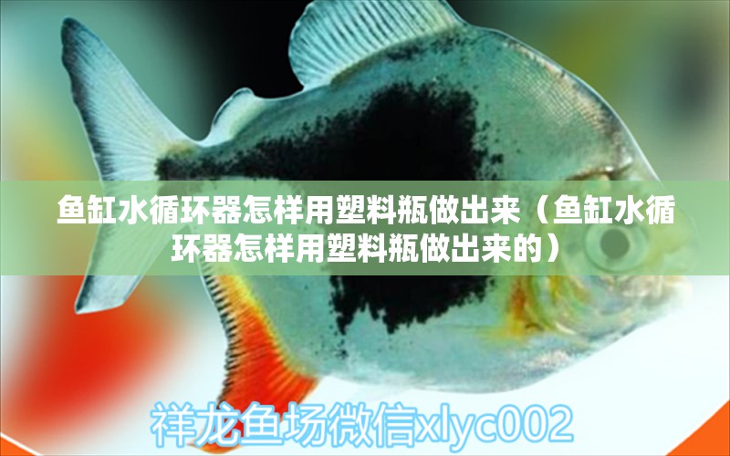 魚缸水循環(huán)器怎樣用塑料瓶做出來（魚缸水循環(huán)器怎樣用塑料瓶做出來的）