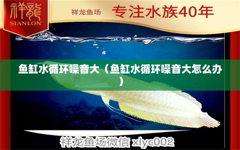 魚缸水循環(huán)噪音大（魚缸水循環(huán)噪音大怎么辦） 其他品牌魚缸