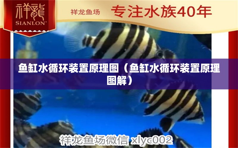 魚缸水循環(huán)裝置原理圖（魚缸水循環(huán)裝置原理圖解）