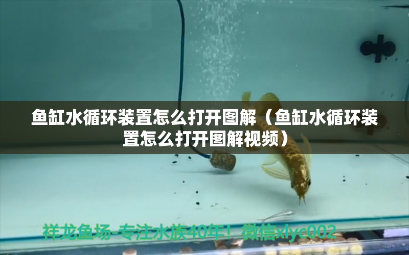 魚缸水循環(huán)裝置怎么打開圖解（魚缸水循環(huán)裝置怎么打開圖解視頻）