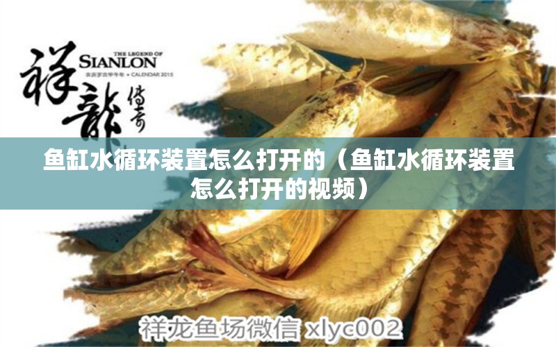 魚缸水循環(huán)裝置怎么打開的（魚缸水循環(huán)裝置怎么打開的視頻）