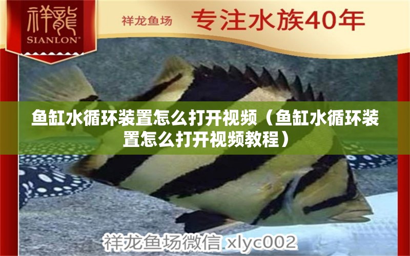 魚缸水循環(huán)裝置怎么打開視頻（魚缸水循環(huán)裝置怎么打開視頻教程）