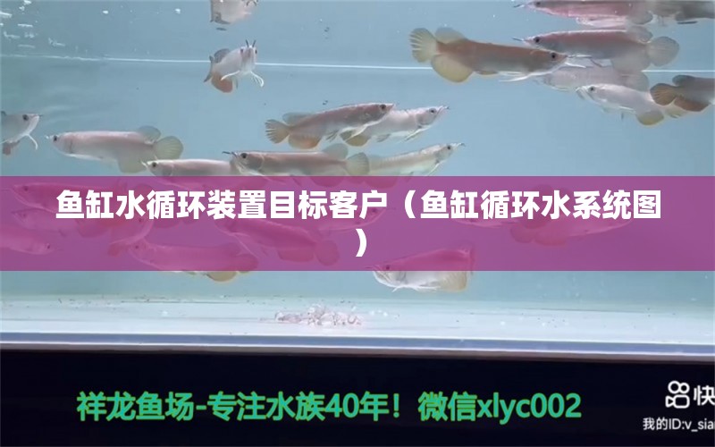 魚缸水循環(huán)裝置目標(biāo)客戶（魚缸循環(huán)水系統(tǒng)圖） 元寶鯽